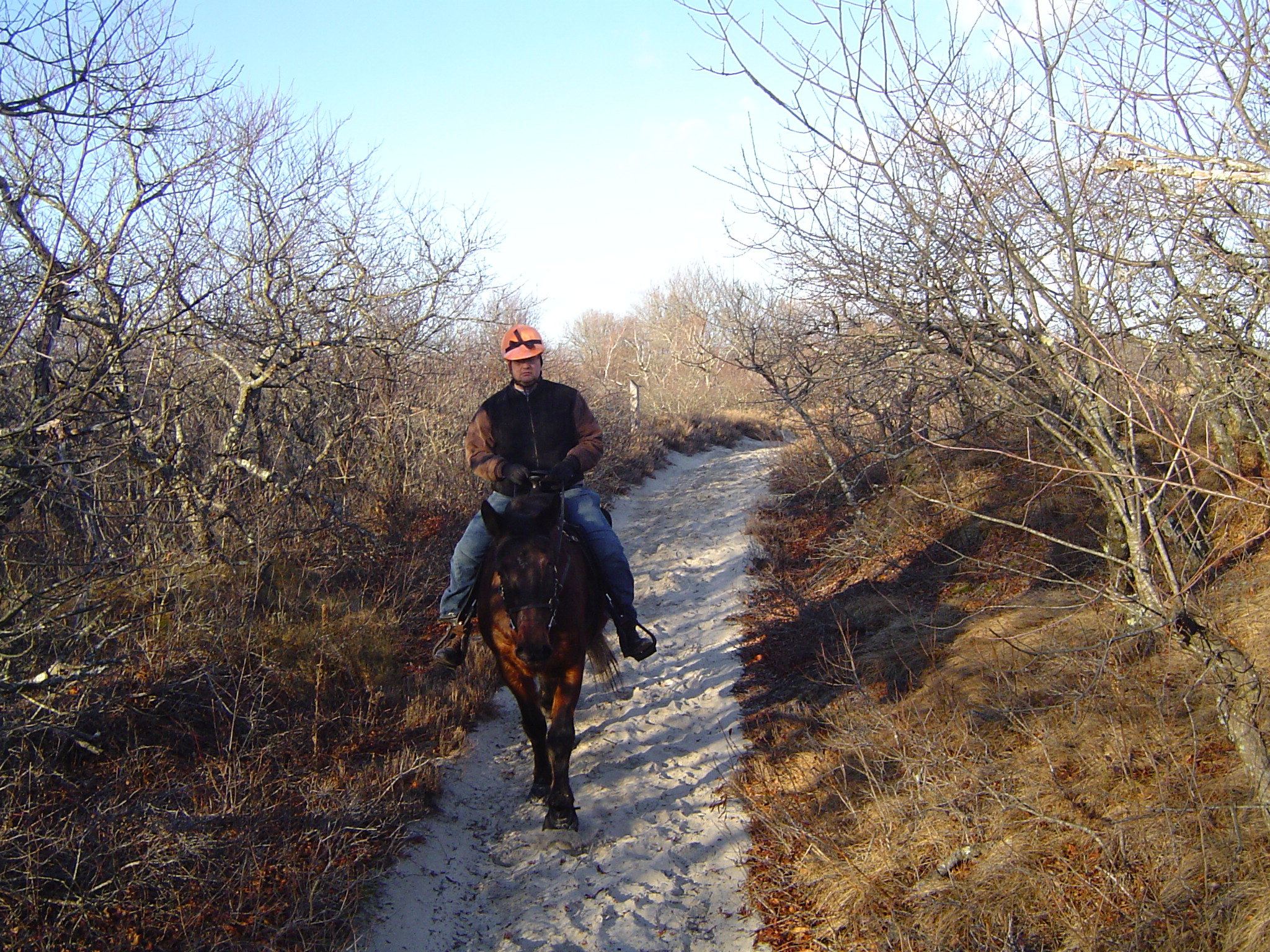 Ken_Nick_Beach_Trail