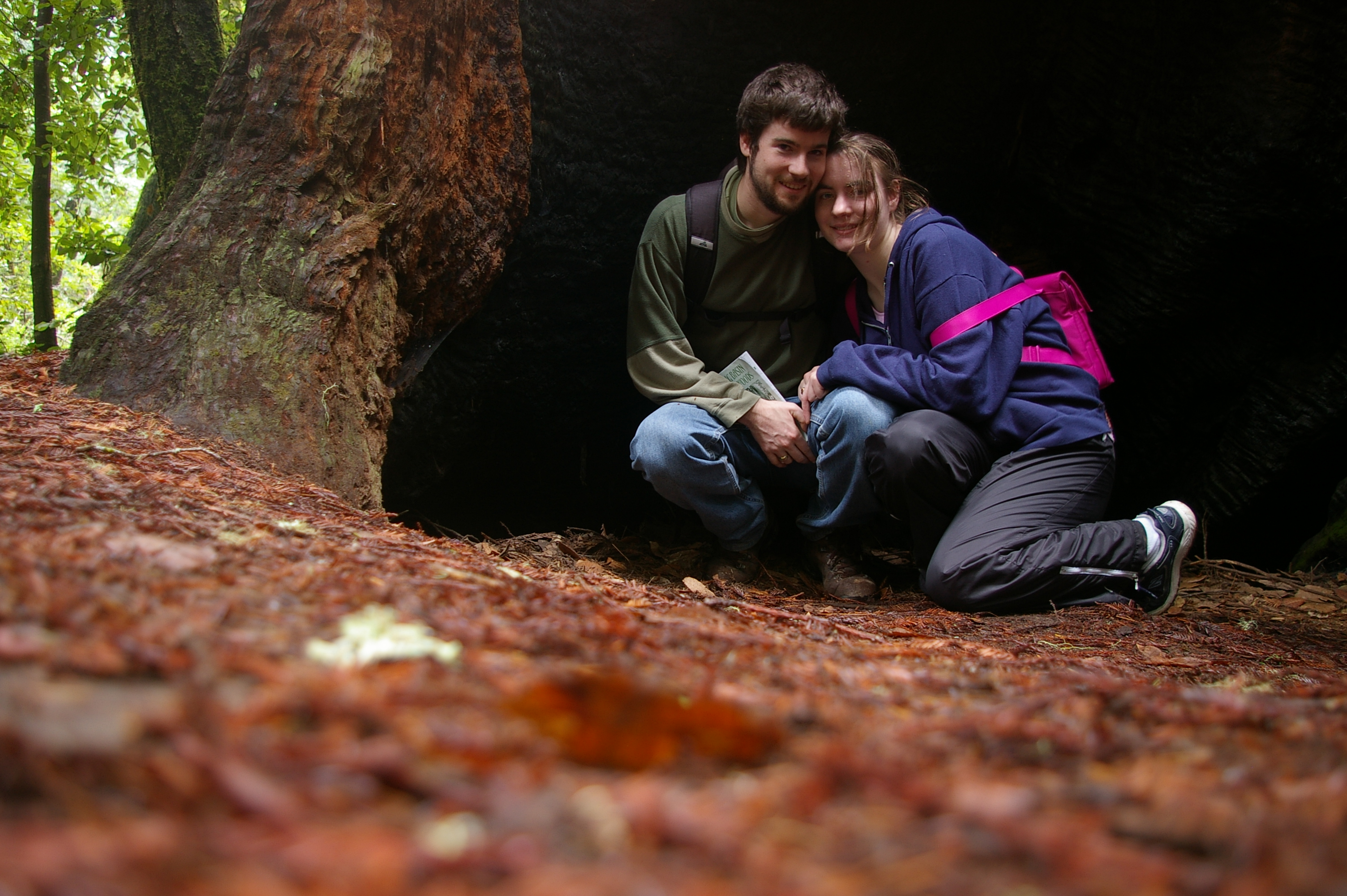Irma + Brian's new (tree) house.