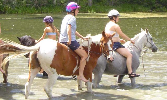 In the Water.jpg